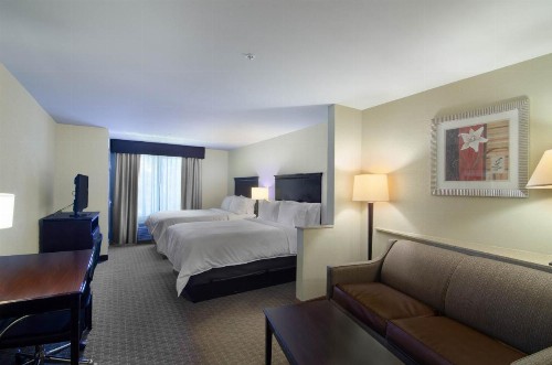 Holiday Inn Express Hotel & Suites Mobile West an IHG Hotel - image 48