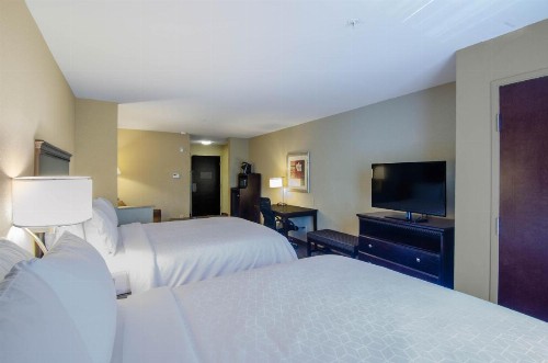 Holiday Inn Express Hotel & Suites Mobile West an IHG Hotel - image 8