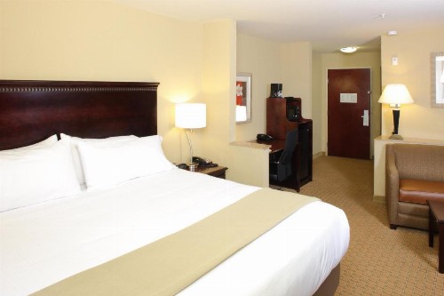 Holiday Inn Express Hotel & Suites Mobile West an IHG Hotel - image 9