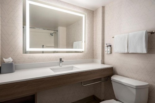 Holiday Inn Express & Suites Mobile West I-10 an IHG Hotel - image 14