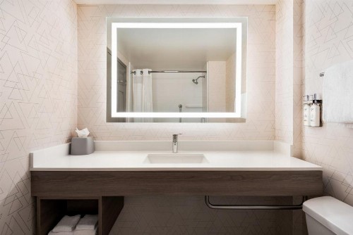 Holiday Inn Express & Suites Mobile West I-10 an IHG Hotel - image 35