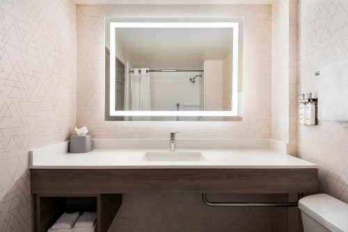 Holiday Inn Express & Suites Mobile West I-10 an IHG Hotel - image 9