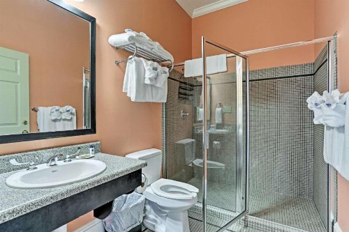 Fort Conde Inn - Mobile - image 18