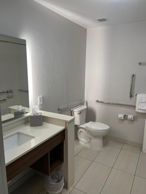Holiday Inn Express & Suites Mobile - University Area an IHG Hotel - image 23