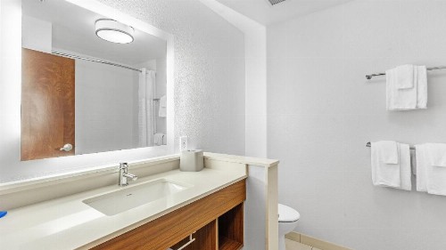 Holiday Inn Express & Suites Mobile - University Area an IHG Hotel - image 49