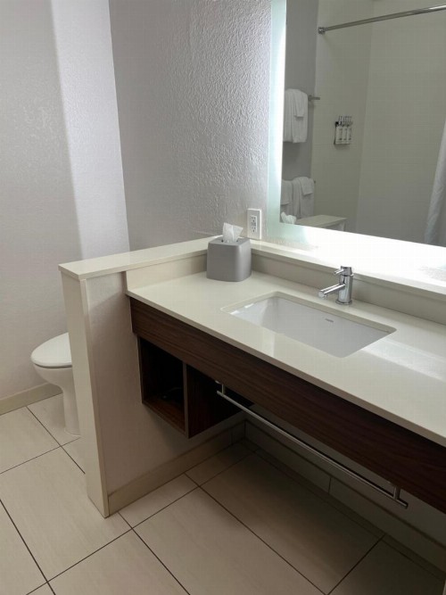 Holiday Inn Express & Suites Mobile - University Area an IHG Hotel - image 9