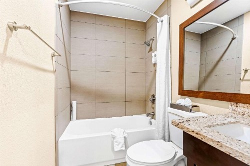 Comfort Inn Modesto - image 18