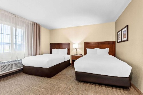 Comfort Inn Modesto - image 9