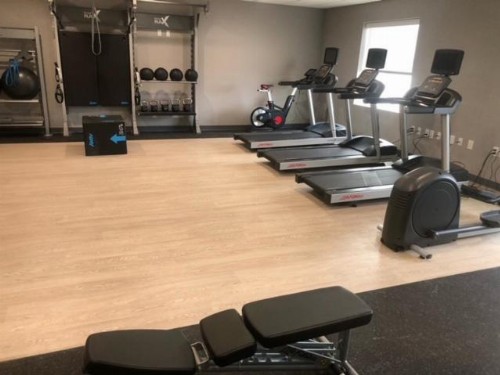 Hampton Inn Monahans Tx - image 10