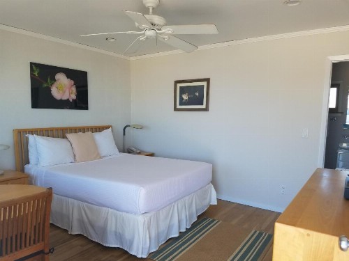 White Sands Motel - image 21