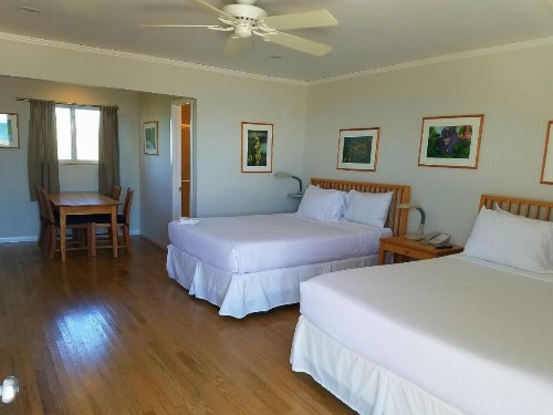 White Sands Motel - image 34