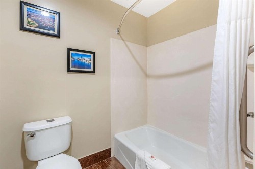 Comfort Inn Monterey Park - Los Angeles - image 16