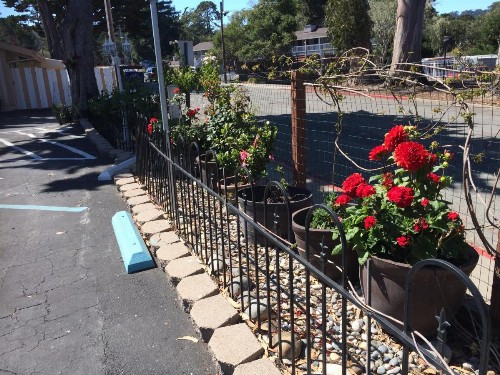 Americas Best Value Presidents Inn Monterey - image 28
