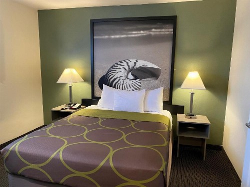 Super 8 by Wyndham Monterey - image 14