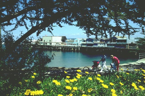 Spindrift Inn - image 41