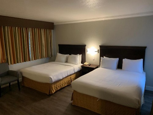 Stargazer Inn and Suites - image 13