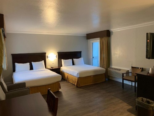 Stargazer Inn and Suites - image 15