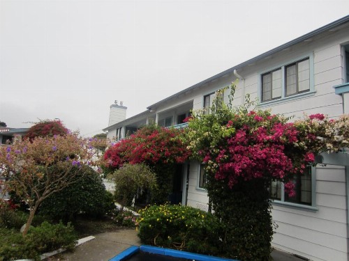 Arbor Inn Monterey - image 13