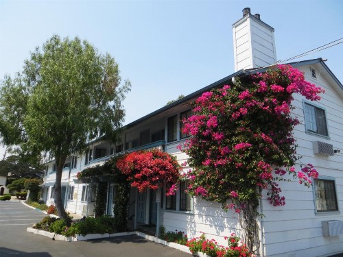 Arbor Inn Monterey - image 23