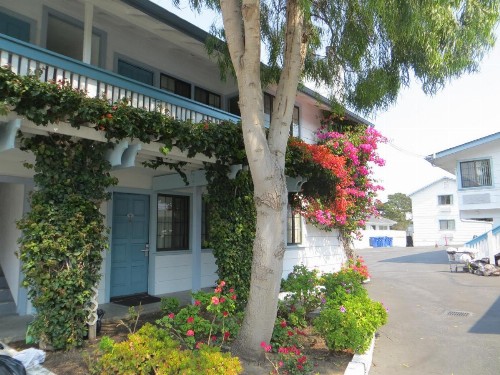 Arbor Inn Monterey - image 28