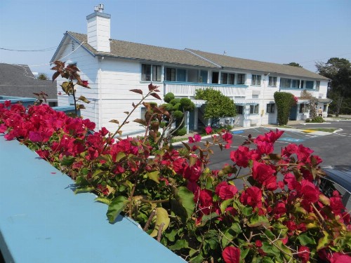 Arbor Inn Monterey - image 37