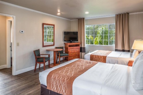 The Inn at 1252 Monterey - image 11