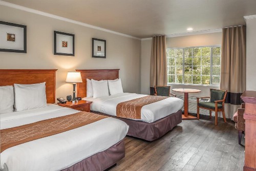 The Inn at 1252 Monterey - image 12