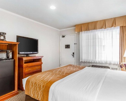 The Inn at 1252 Monterey - image 20