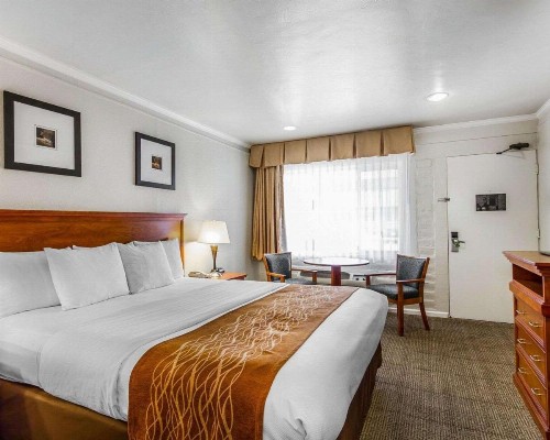 The Inn at 1252 Monterey - image 22