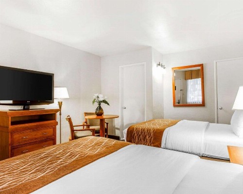 The Inn at 1252 Monterey - image 24