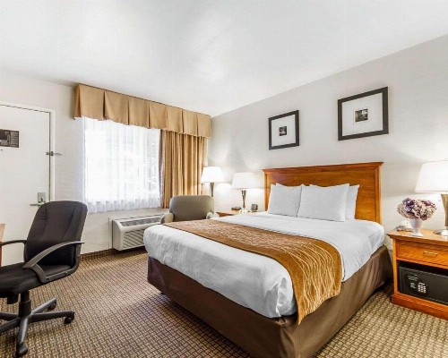 The Inn at 1252 Monterey - image 27