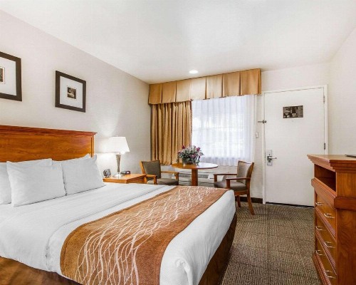 The Inn at 1252 Monterey - image 28