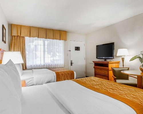 The Inn at 1252 Monterey - image 37
