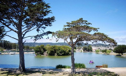 Monterey Bay Lodge - image 27