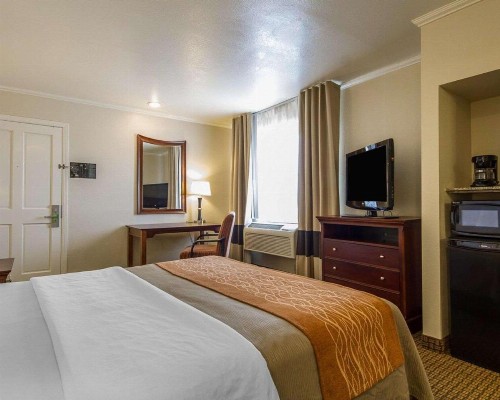 Blu Pacific Hotel - image 11