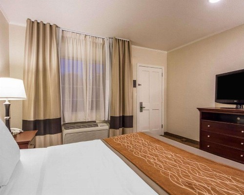 Blu Pacific Hotel - image 14