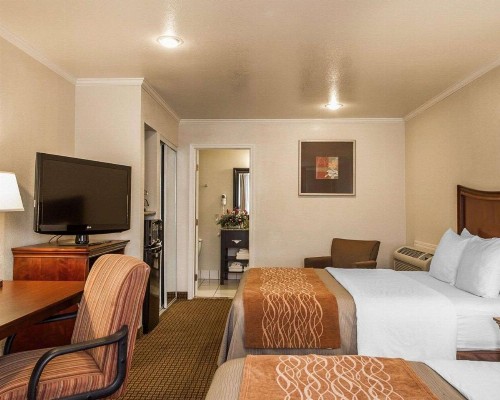 Blu Pacific Hotel - image 16