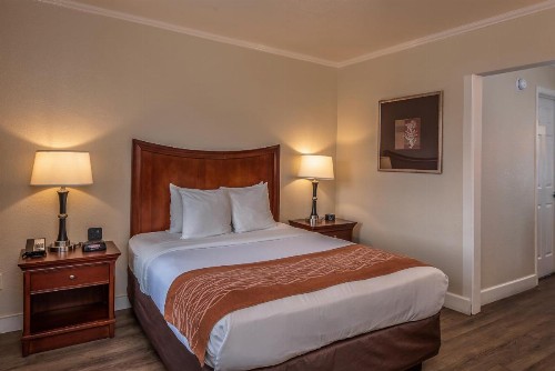 Blu Pacific Hotel - image 19
