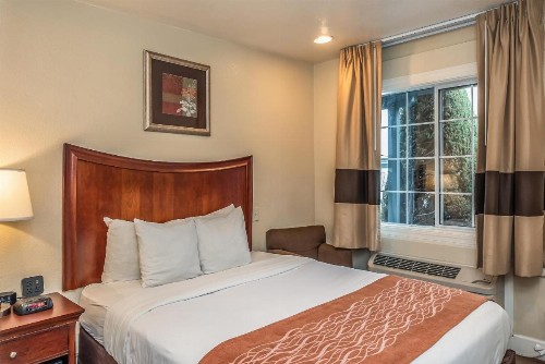 Blu Pacific Hotel - image 22