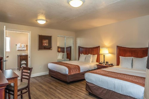 Blu Pacific Hotel - image 28