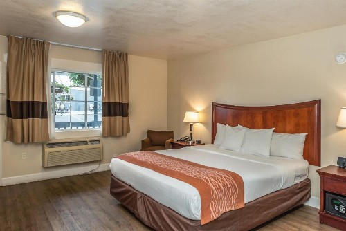 Blu Pacific Hotel - image 29