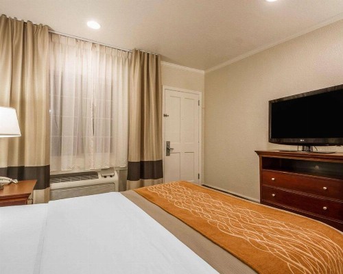 Blu Pacific Hotel - image 3