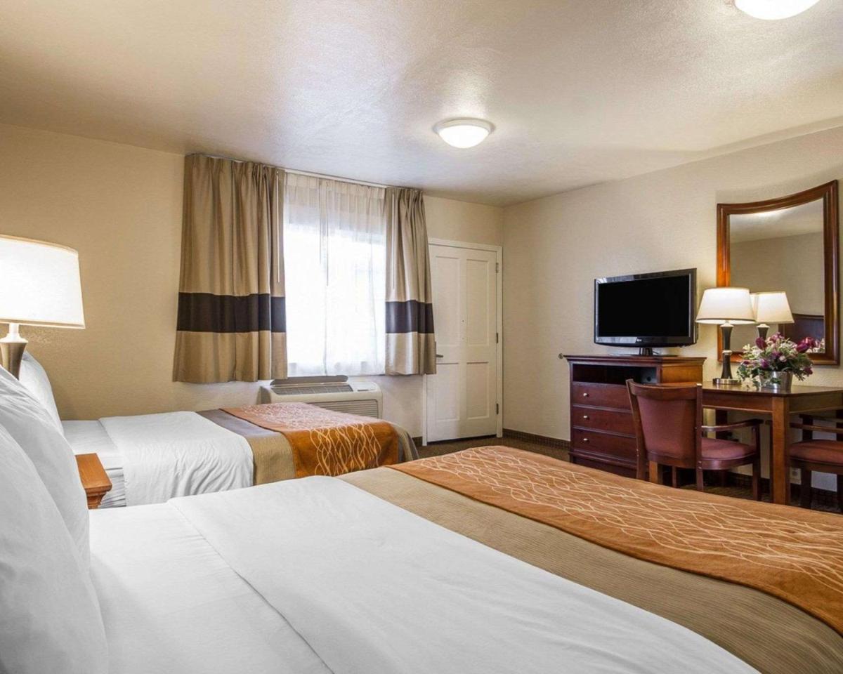 Blu Pacific Hotel - image 4