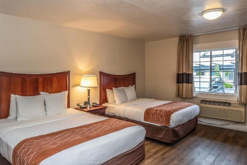 Blu Pacific Hotel - image 46