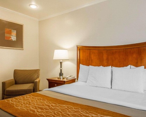 Blu Pacific Hotel - image 5