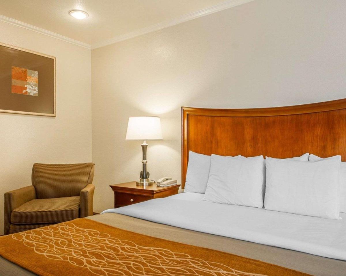 Blu Pacific Hotel - image 5