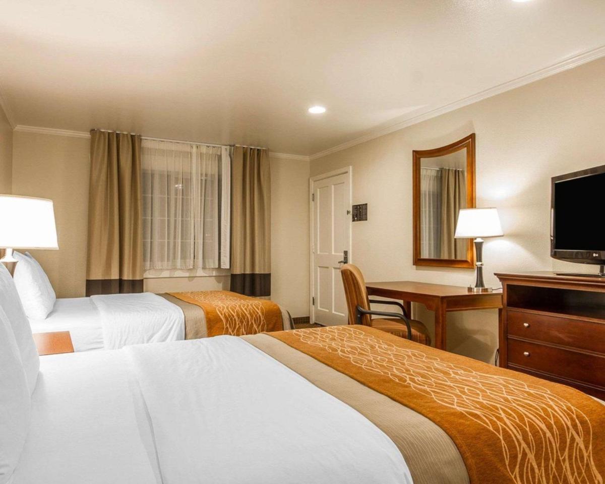 Blu Pacific Hotel - image 7