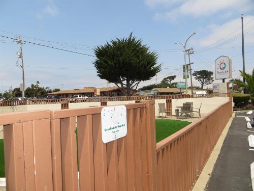 Pacific Inn Monterey - image 11