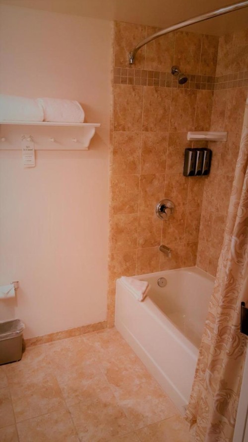 The Monterey Hotel - image 13