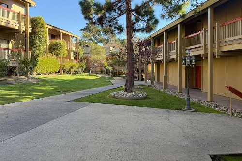 Comfort Inn Monterey Peninsula Airport - image 15
